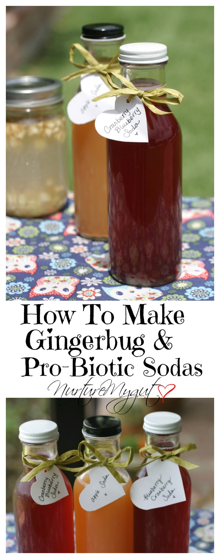 How To Make Gingerbug and Pro-Biotic Sodas