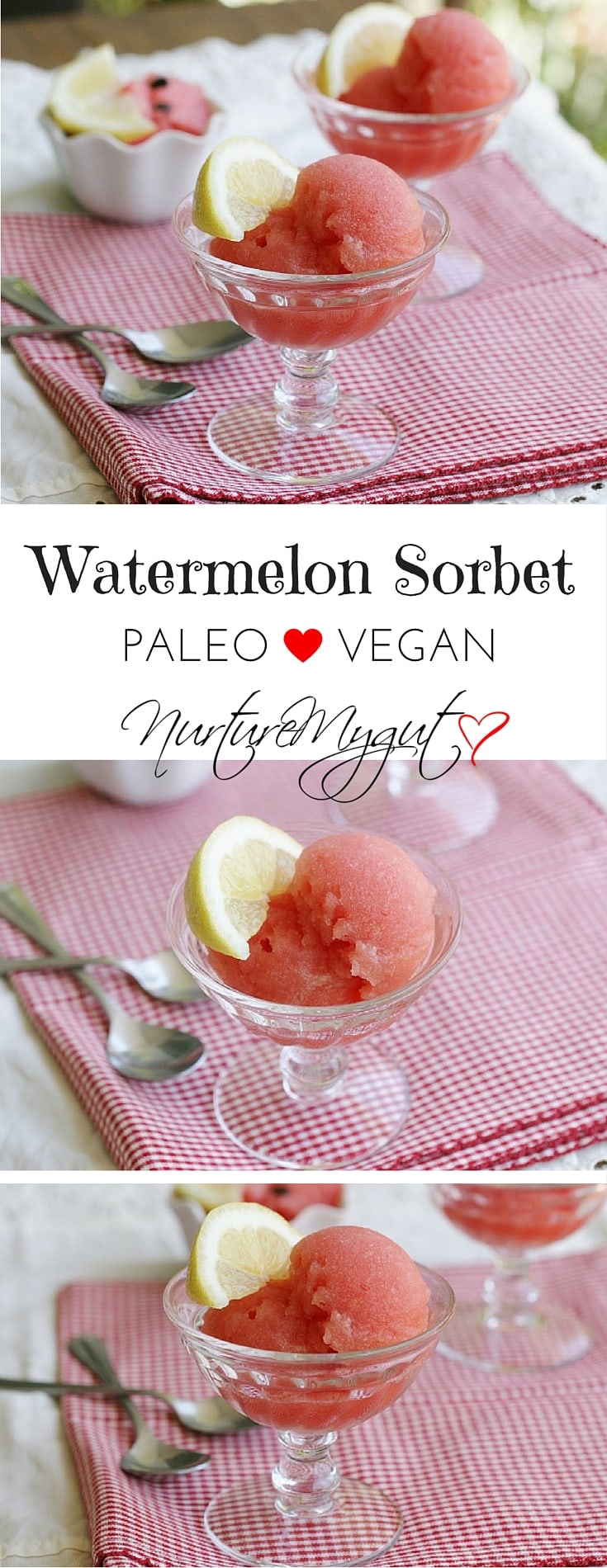 Watermelon Sorbet