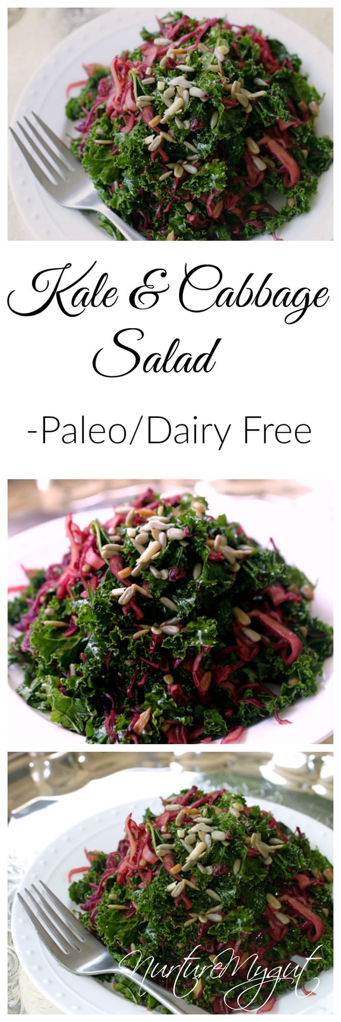 kale and cabbage salad