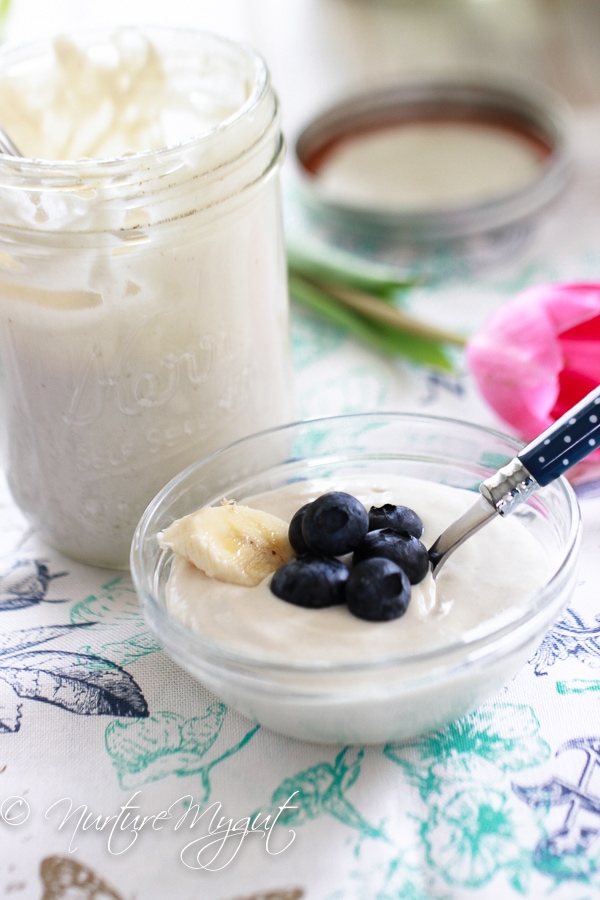 Homemade Vegan Yogurt