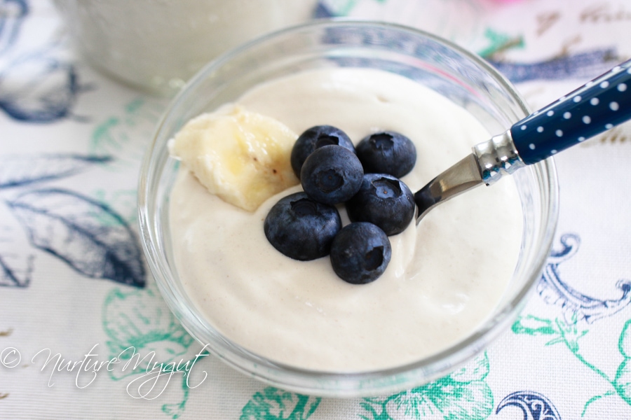 Homemade Vegan Yogurt