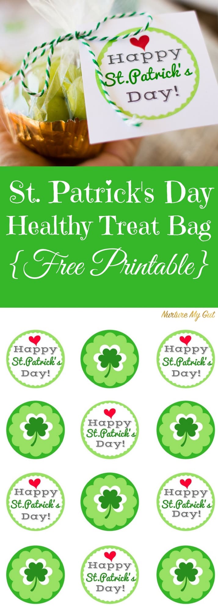 St. Patrick's Day Healthy Treat Bag