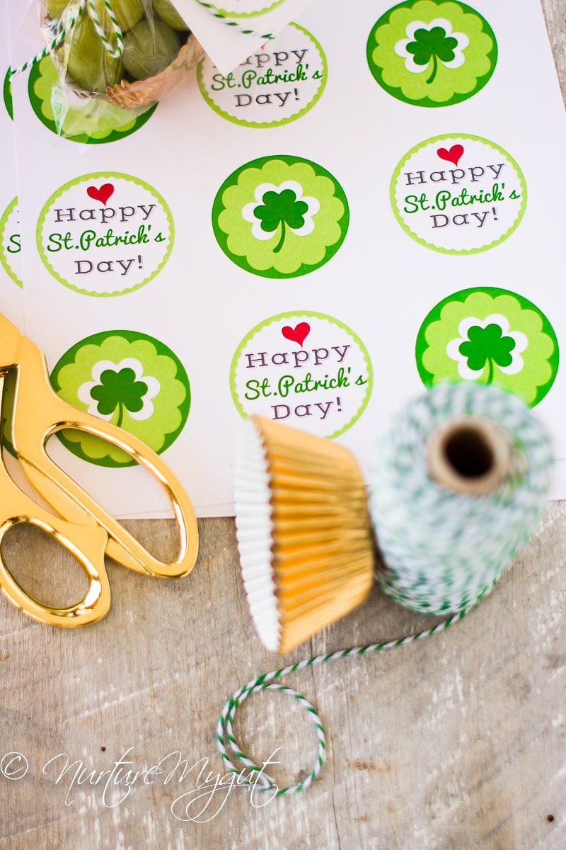 St. Patrick's Day Healthy Treat bag with free Printable