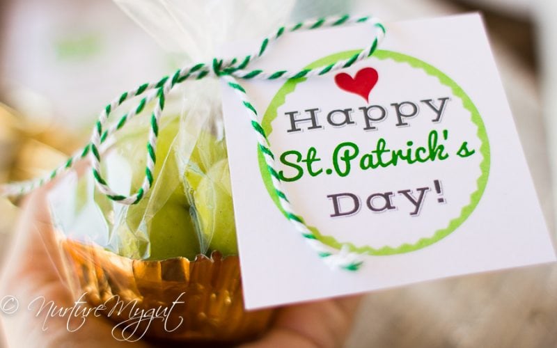 St. Patrick’s Day Healthy Treat bag with free Printable