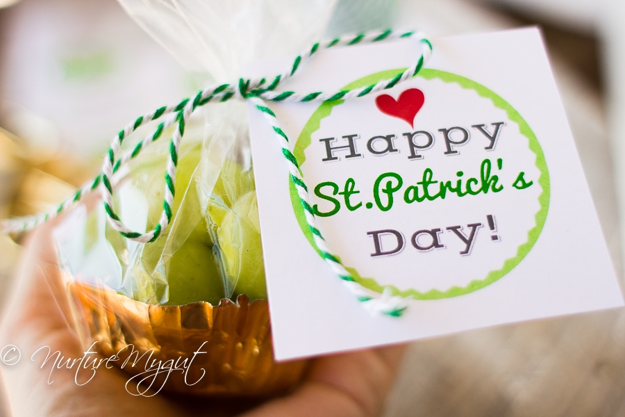St. Patrick's Day Healthy Treat bag with free Printable