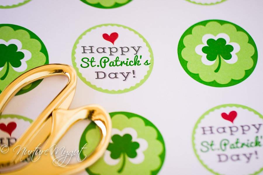 St. Patrick's Day Healthy Treat bag with free Printable