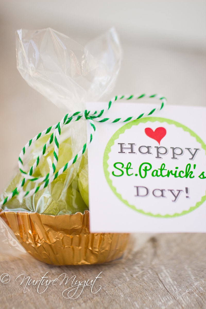 St. Patrick's Day Healthy Treat bag with free Printable