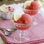 Watermelon Sorbet