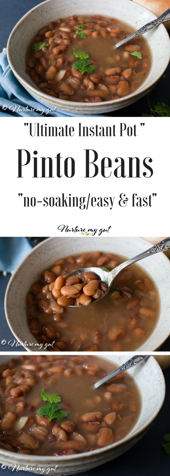 Easy Instant Pot Pinto Beans (No Soak!)