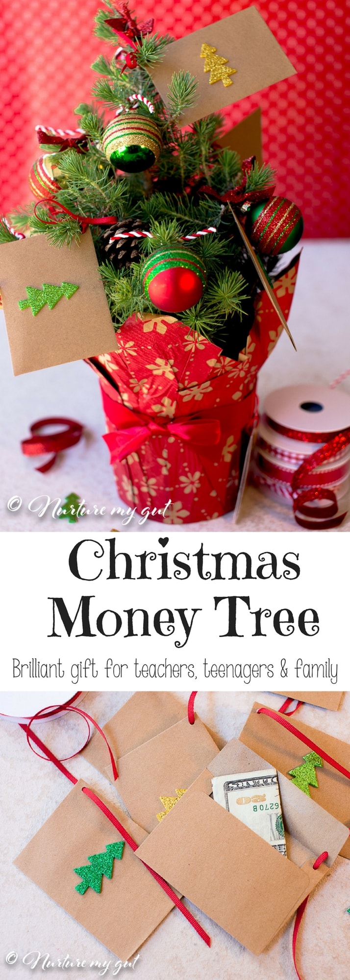 Christmas Money Tree
