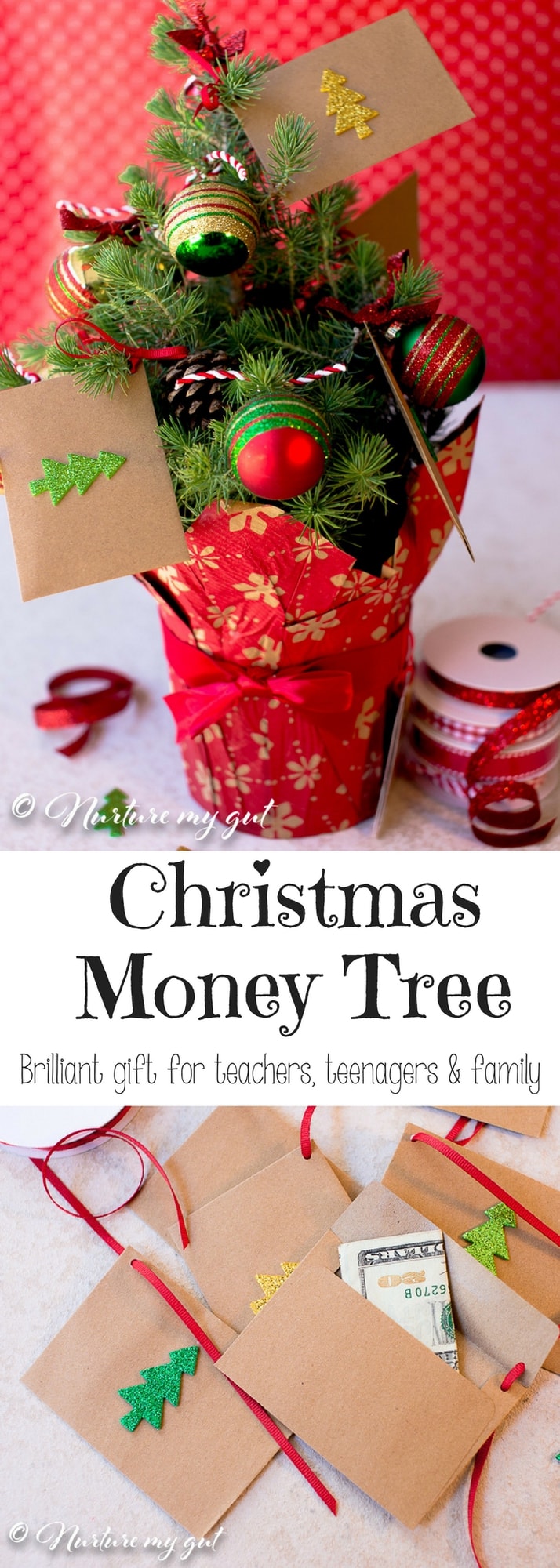 money tree gift christmas