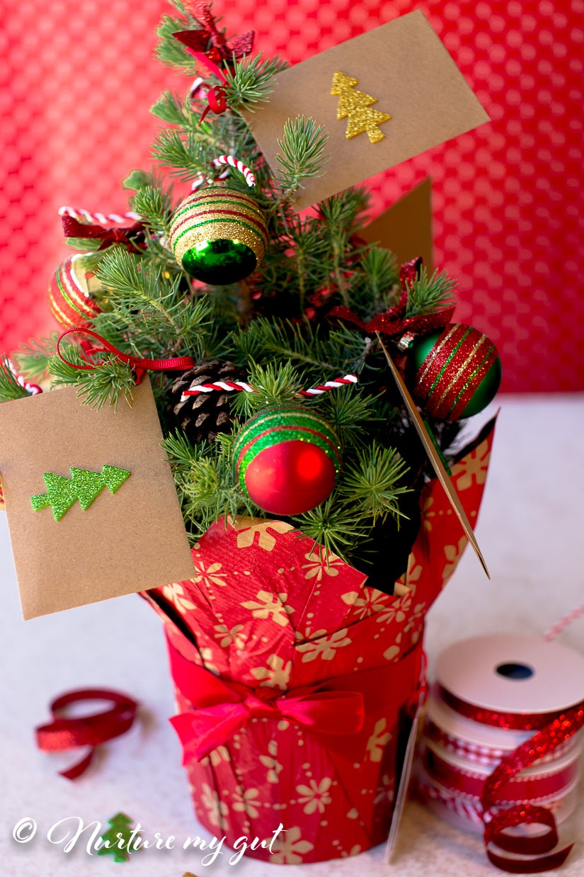 money tree gift christmas