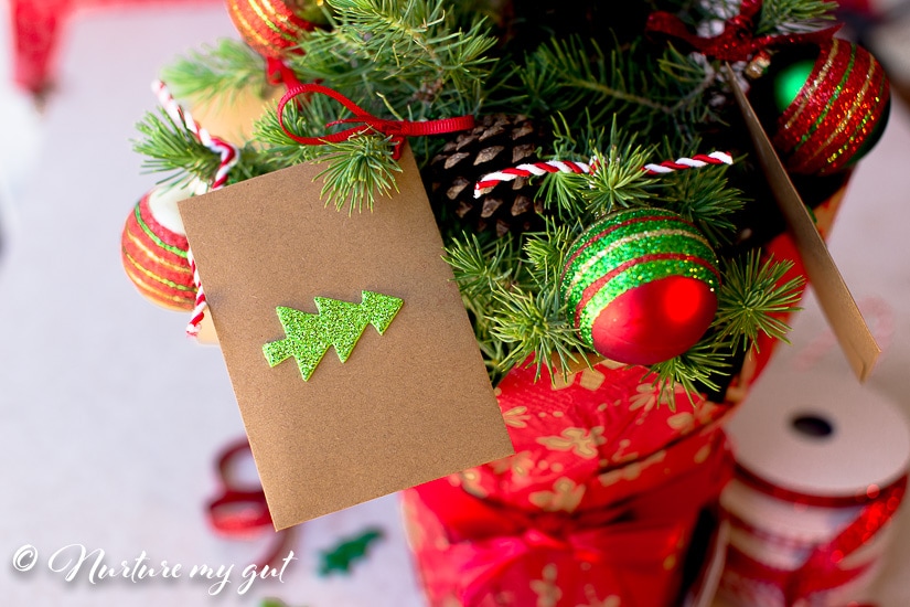 money tree gift christmas