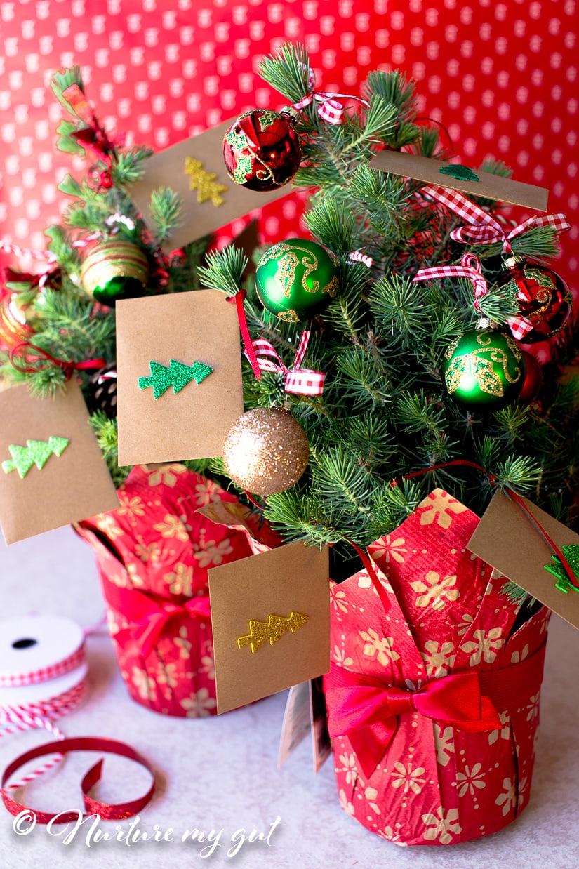 money tree gift christmas