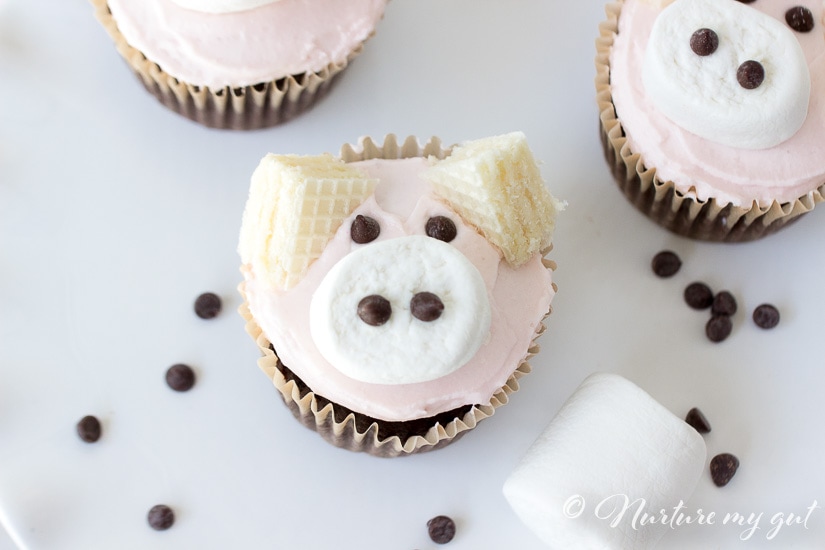 https://nurturemygut.com/wp-content/uploads/2018/05/Gluten-Free-Pink-Pig-Cupcakes-2.jpg