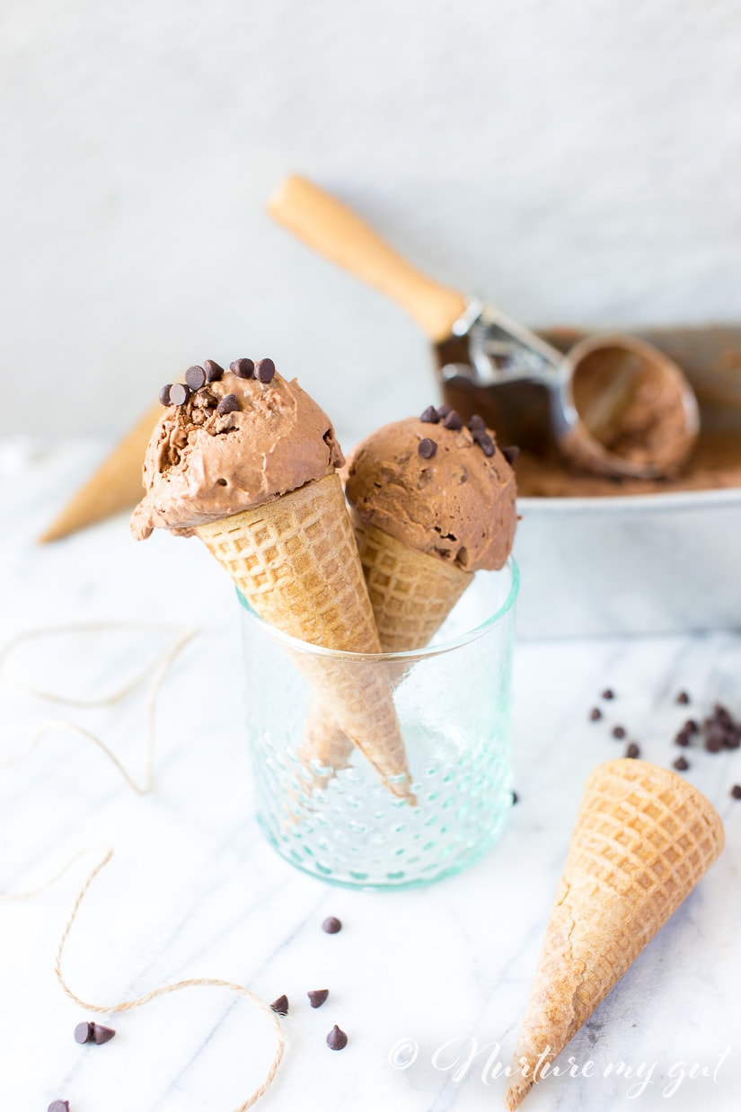 No-Churn Vegan Double Chocolate Peanut Butter Ice Cream