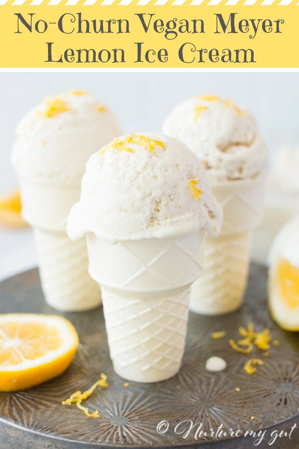 No-Churn-Vegan-Lemon-Meyer-Ice-Cream