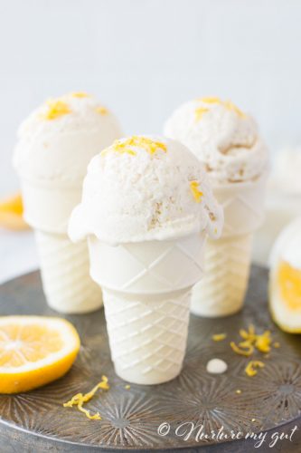 No-Churn Vegan Meyer Lemon Ice Cream {Vegan/Gluten Free/Easy}