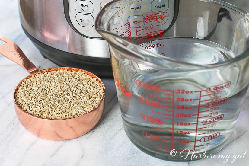 Easy Instant Pot Steel Cuts Oats Recipe