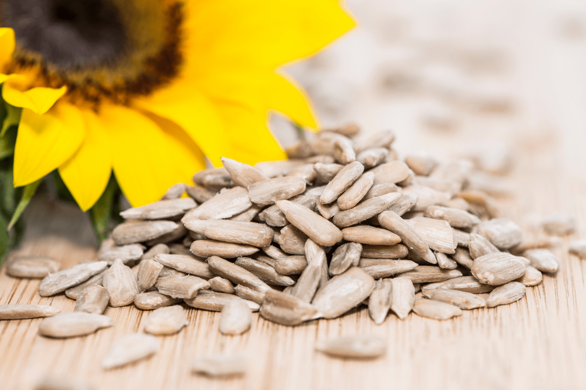 whole sunflower seeds