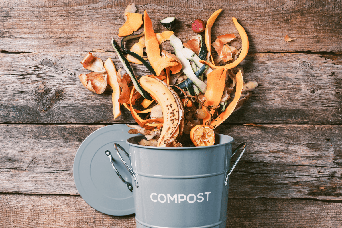 compost scraps